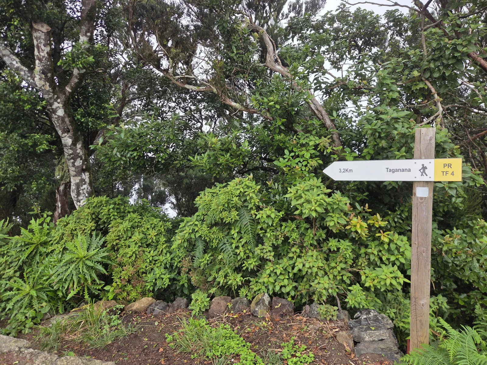 PR-TF 4 walking sign pointing towards Taganana through dense green vegetation