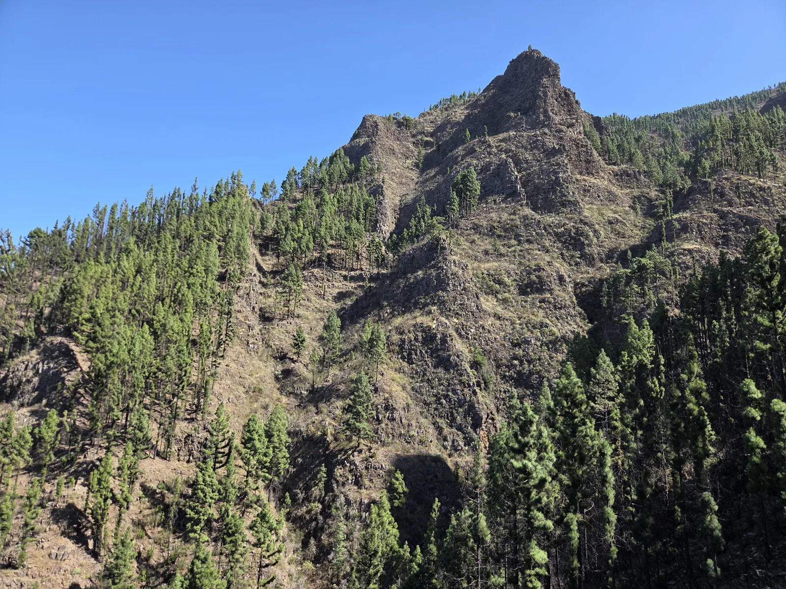 Steep rocky mountain slope with wooded gullies and pine trees near La Caldera