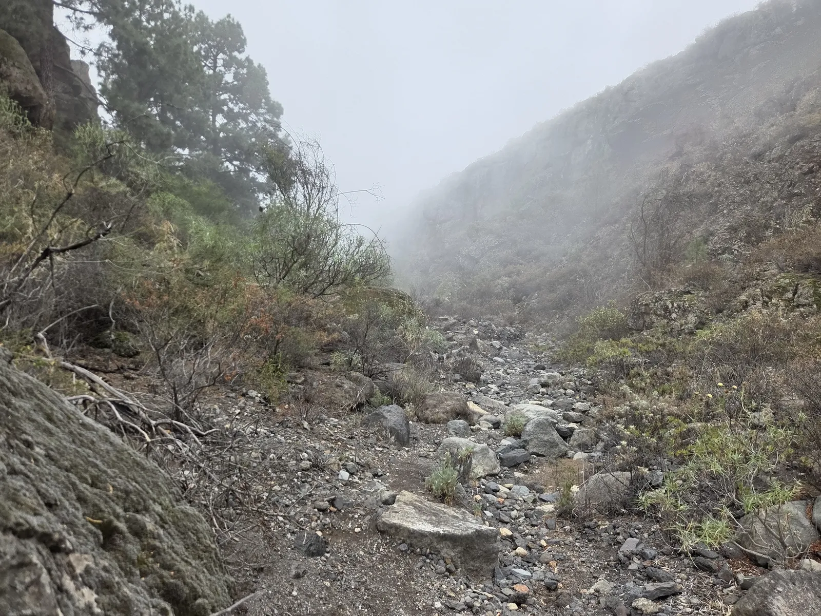 Uneven rocky passage between steep slopes in mist near El Contador