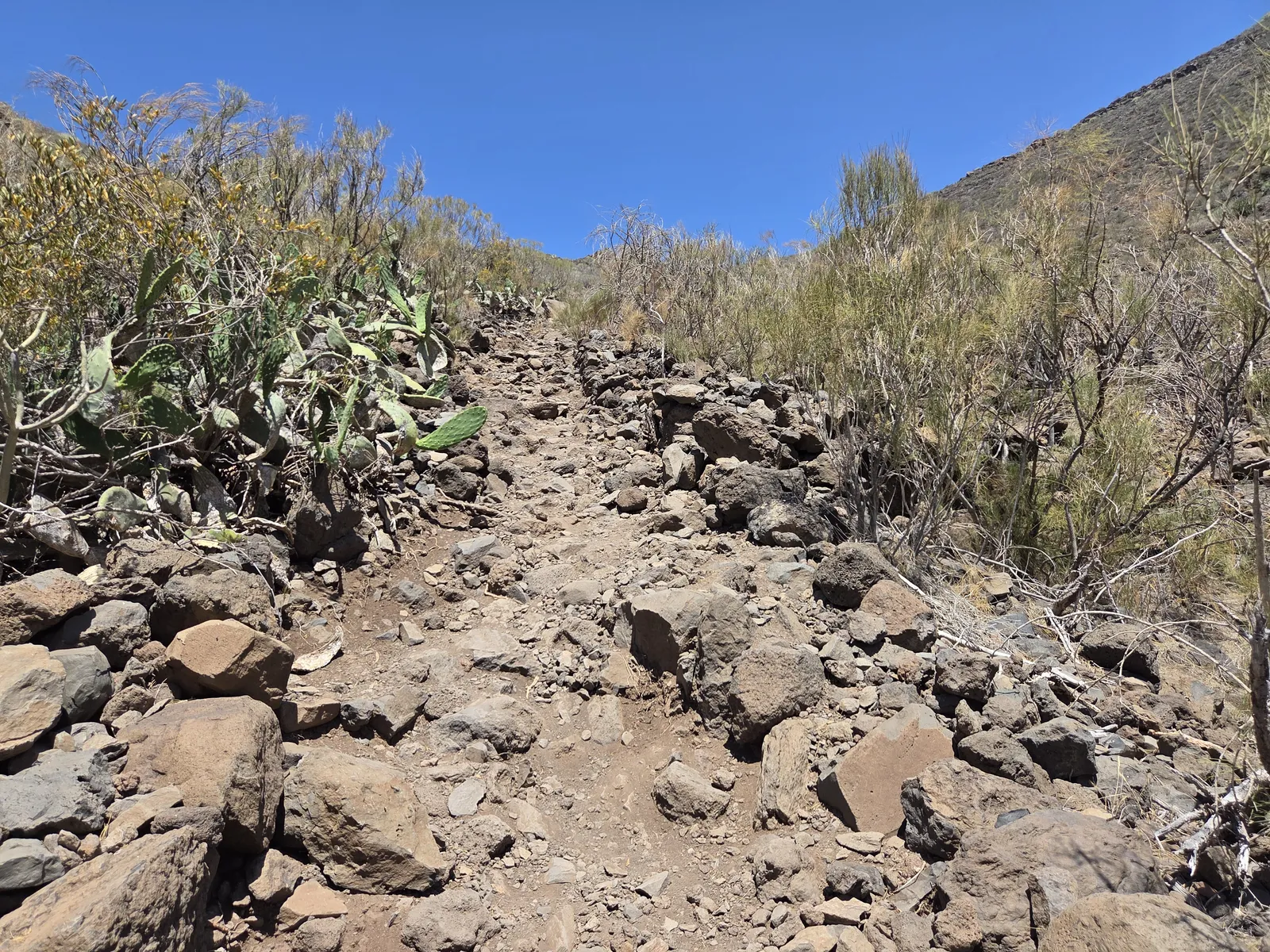 Rocky uphill path on Guama Mountain bordered by scrub and prickly pear cactus